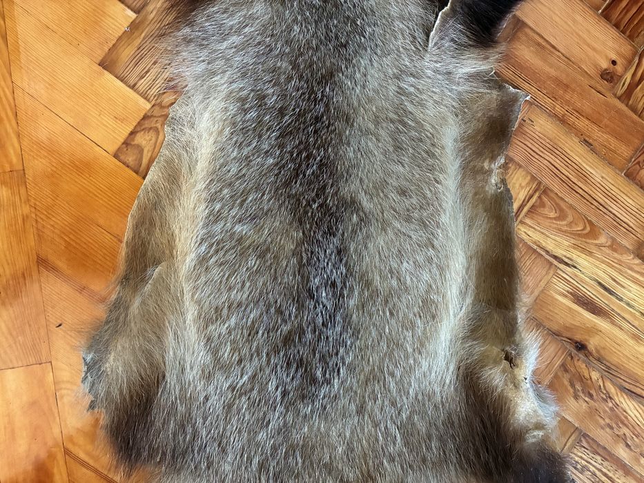 Pele de Texugo Verdadeiro