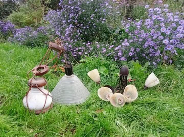 Lampy wiszące  żyrandol