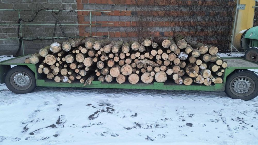 Drewno opałowe: sosna, brzoza