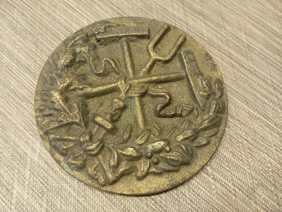 Porządki domowe medal