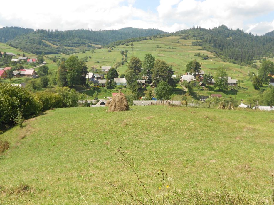 Житловий будинок та земельна ділянка 55,3 сот. с.Козьова