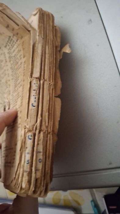 Guia da cozinheira e doceira familiar