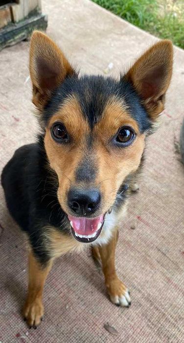 Flisak poleca się do adopcji :)