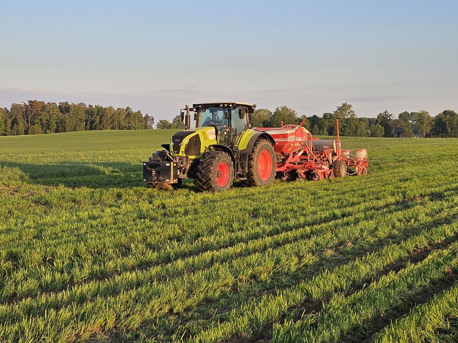Siew kukurydzy, słonecznika rzepaku, zbóż,  uprawa pasowa,  strip till