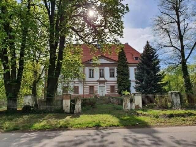 Pałac w Snowidzy na sprzedaż