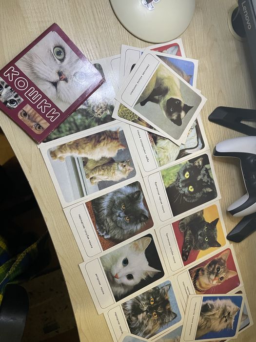 Набір радянських листівок «Кошки» рос. мова