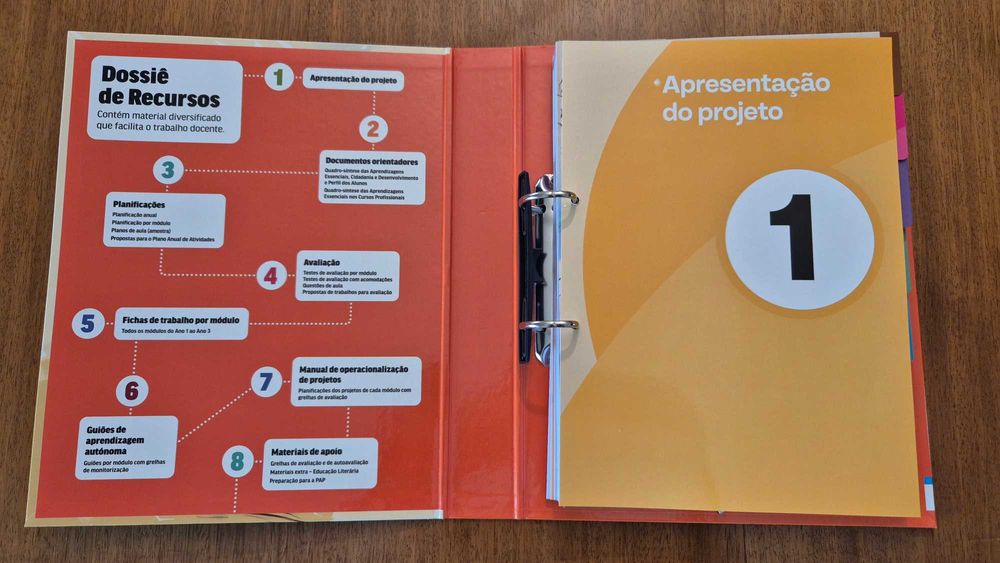 Vendo Dossier Prof. Português Ens. Profissional DISCURSO DIRETO 12ºAno