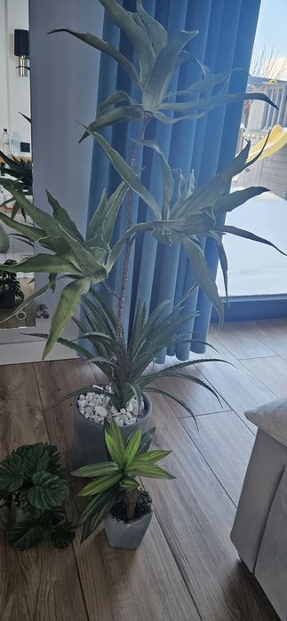 Sztuczne rosliny  dom