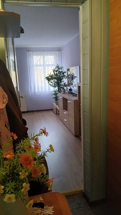 Mieszkanie bezczynszowe