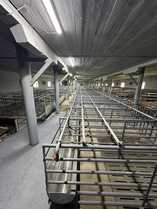 Ферма, господарські будівлі та споруди