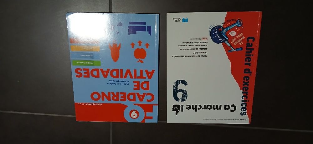 Manuais e Livros de fichas do 9°Ano
