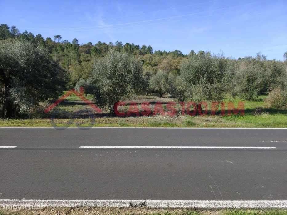 Terreno Rústico com Oliveiras e ribeiro ao fundo