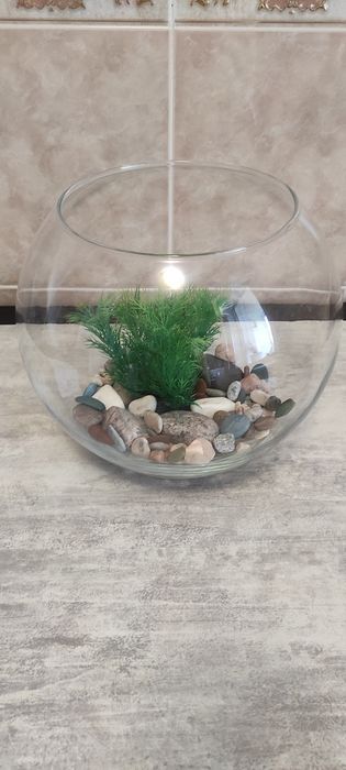 Акваріум на 5 літрів (обігрівач в подарунок)
