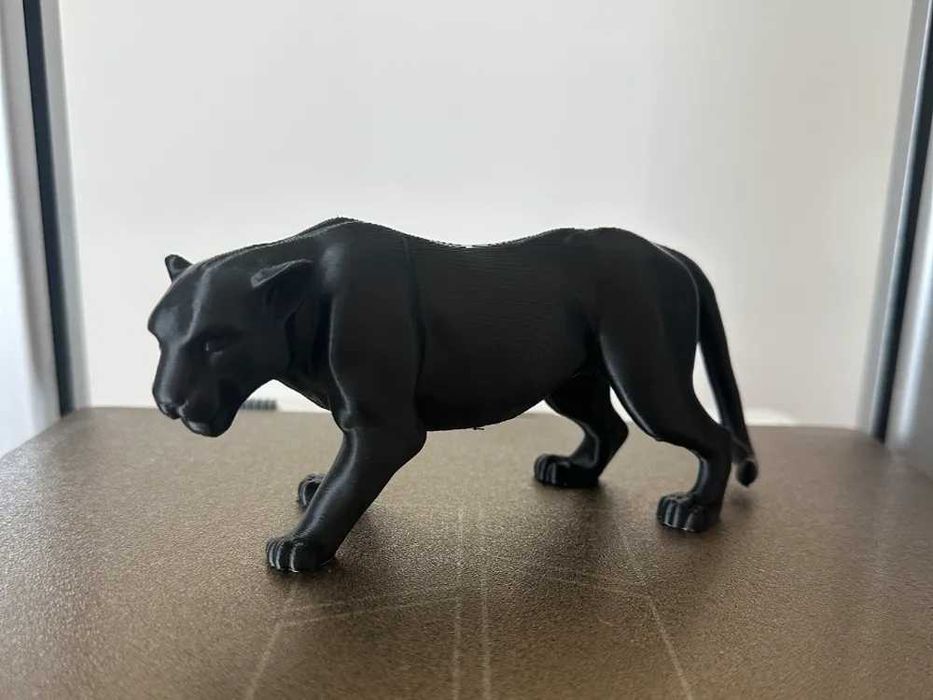 jaguar na półeczkę