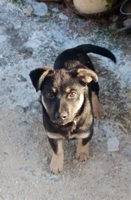 Due i Tre domu potrzebują!