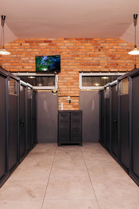 HOTEL DLA PSÓW Dobermanproject.eu