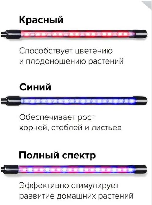 Фитолампа для растений 2 LED  на USB для рассады и цветов c таймером