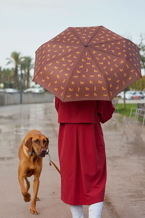 Parasol z pokrowcem brązowy prezent dla psiarzy