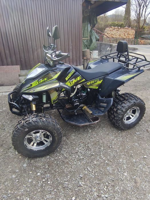 Bashan x-one 250