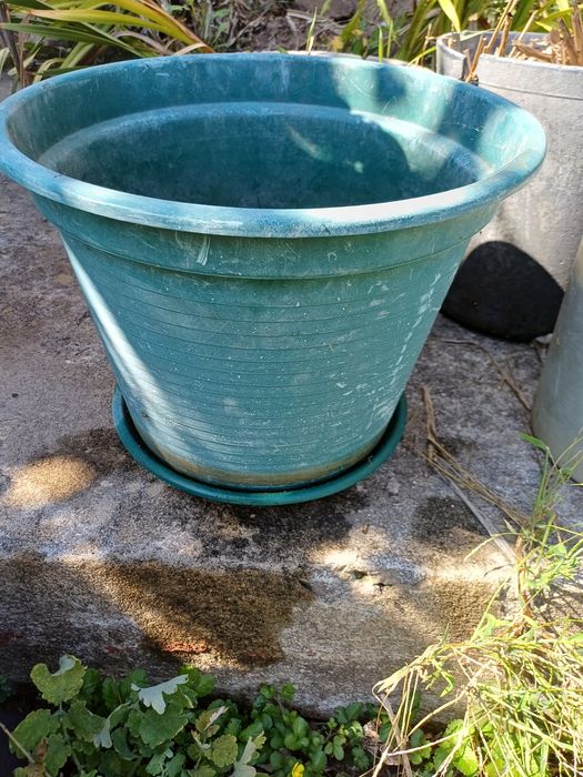 Vasos e pratos de plástico