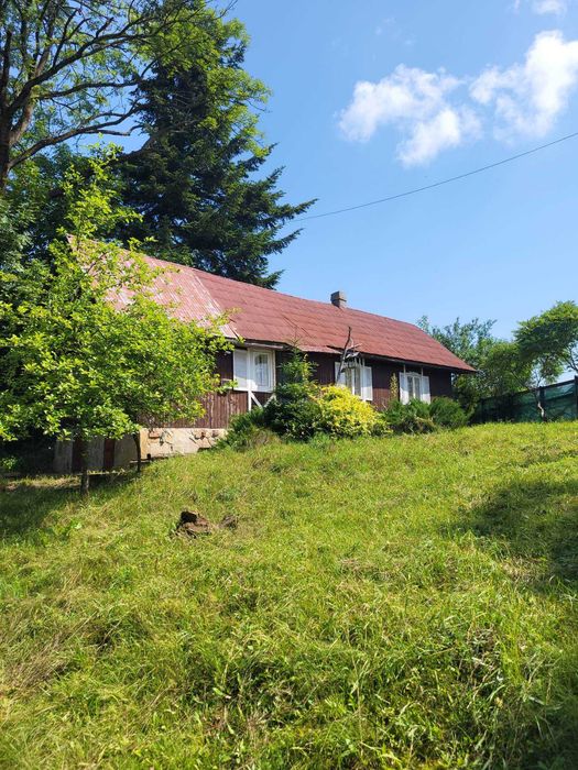 Продаж будинку в Карпатах с. Опака