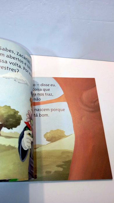 A História da árvore Elvira - Cantar de Galo