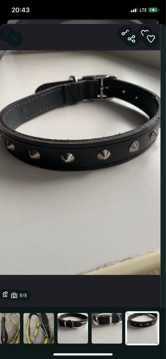 Шлеі для собак + нашийник