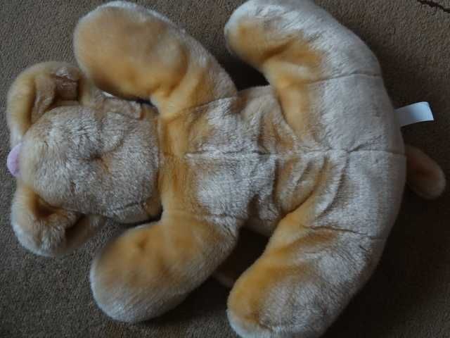 Duże , pluszowe maskotki dla dziecka .