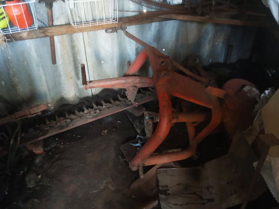 Косарка польська сегмента