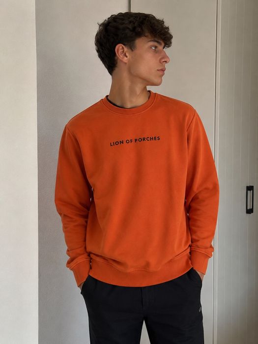 Hoodie/sweatshirt