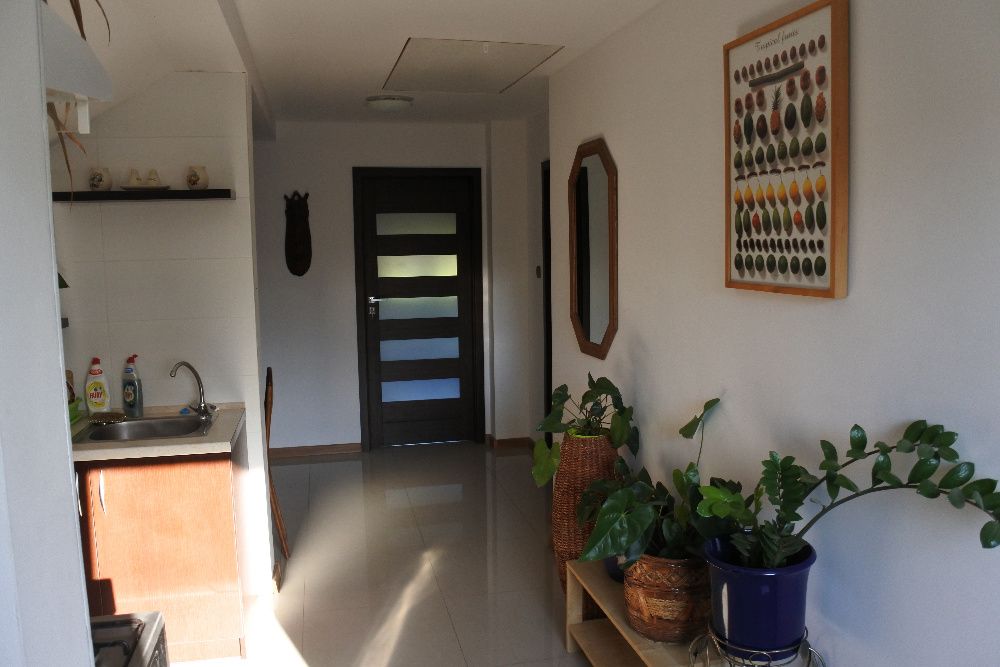 Pokoje do wynajęcia / agroturystyka