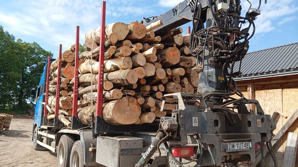 drewno opałowe, kłody - buk, jesion, dąb