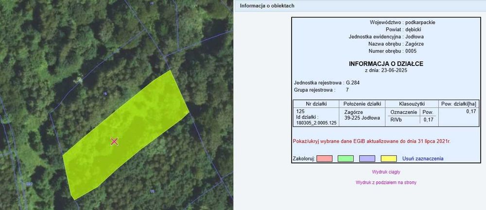 Na sprzedaż działki rolne w Zagórzu, gm. Jodłowa - Widok 3