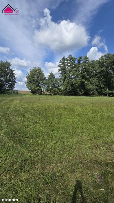 Malownicza działka 1430m² przy stawie, Tręby Stare - Widok 5