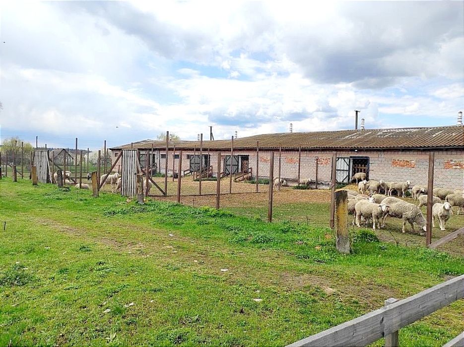 Продаж ферми. Траса Київ Рівне. Житомир. Можна під виробництво.