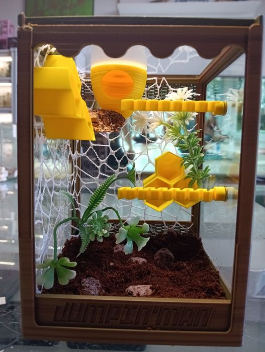 Terraria skakun terrarium i akcesoria skakuny różne kolory i warianty