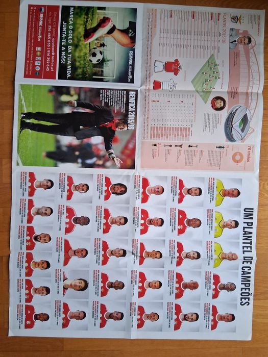 Poster grande do Benfica campeão