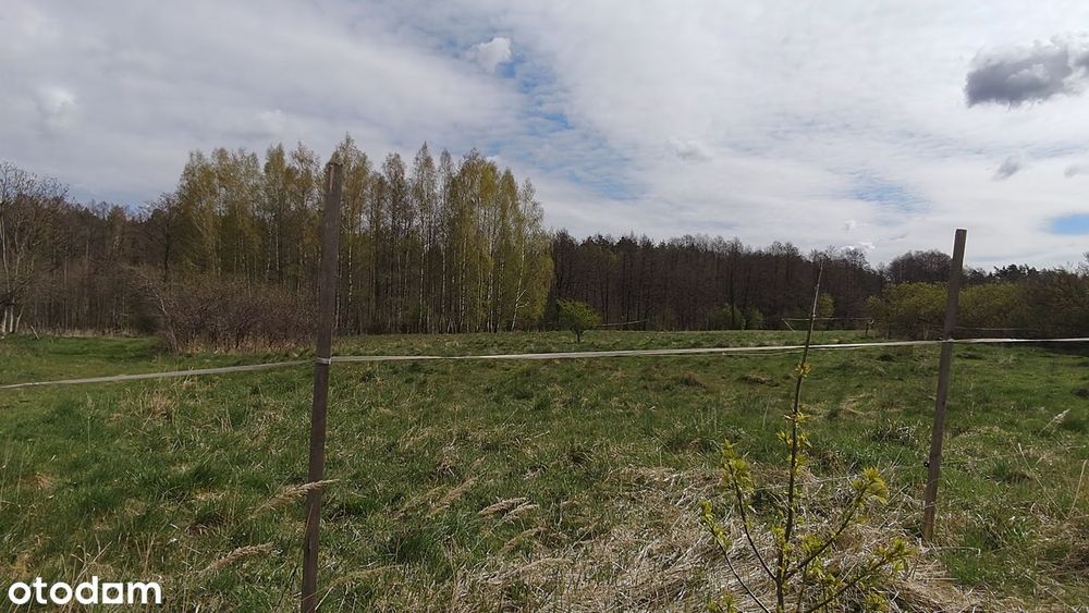 Działka na Mazurach