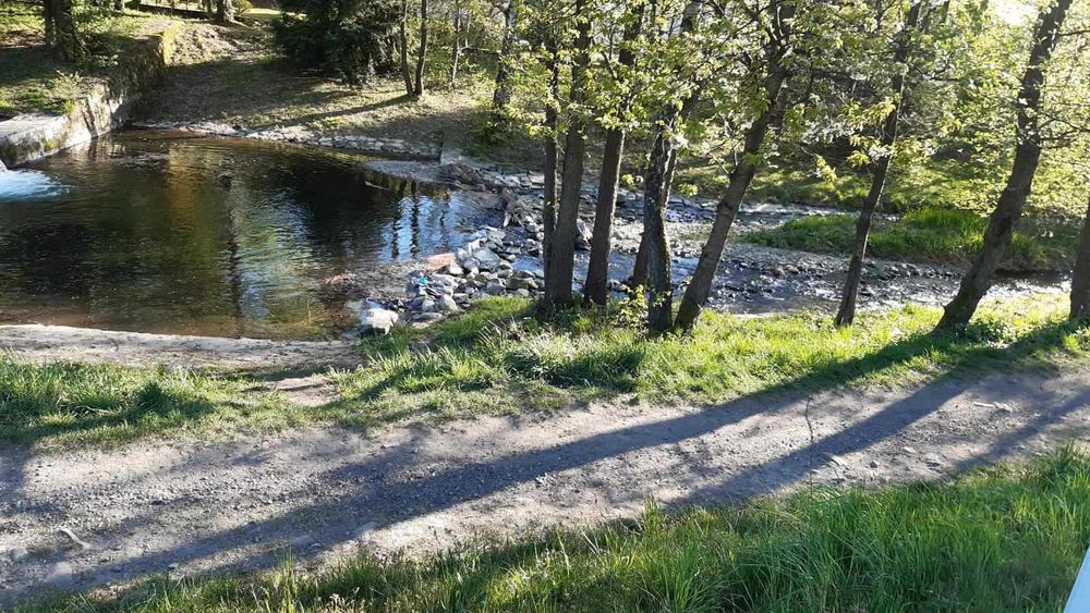 Działka rekreacyjna nad rzeką - Porąbka - łącznie 33 ar. - Widok 5
