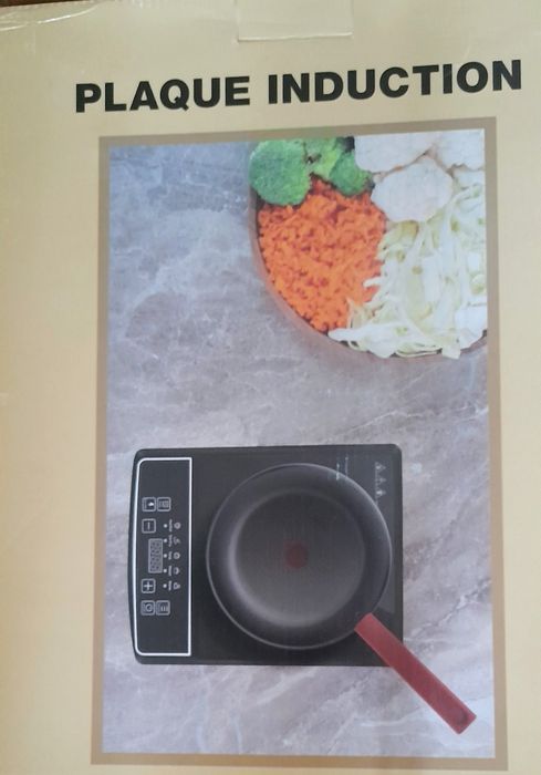 Placa de indução