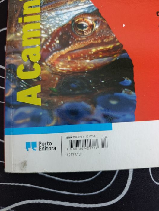 Livro actividade odiseia 11