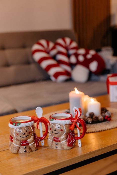 Sauna, balia domki nad morzem Kąty Rybackie