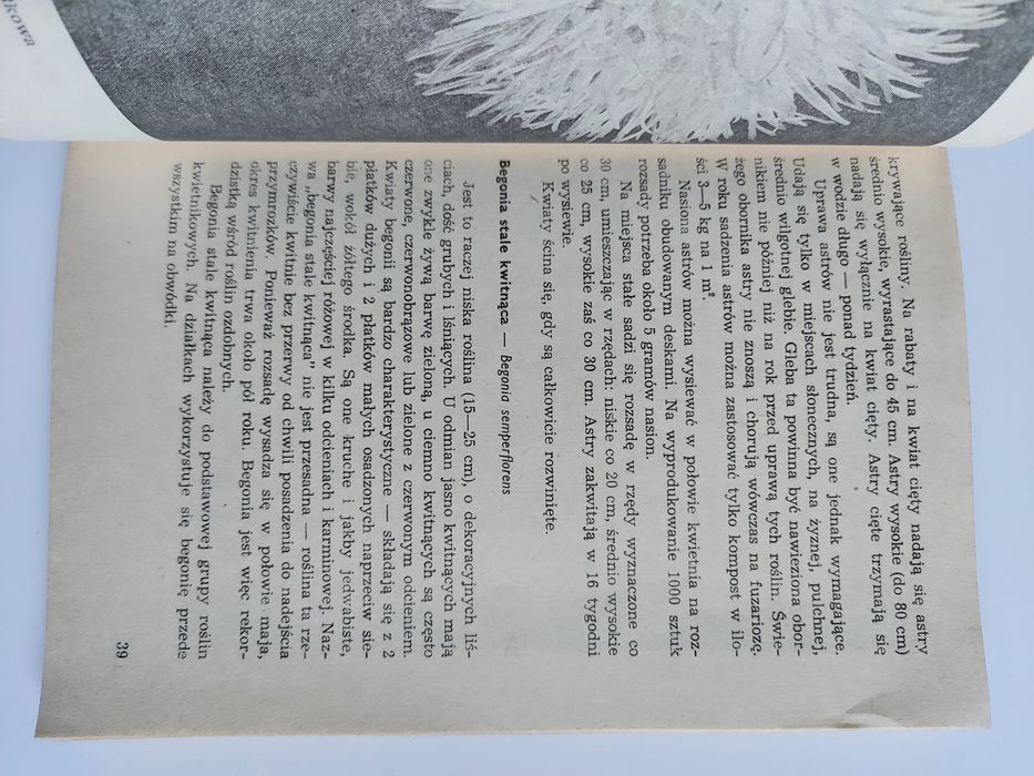 Uprawa roślin ozdobnych w POD - Izabela Kiljańska