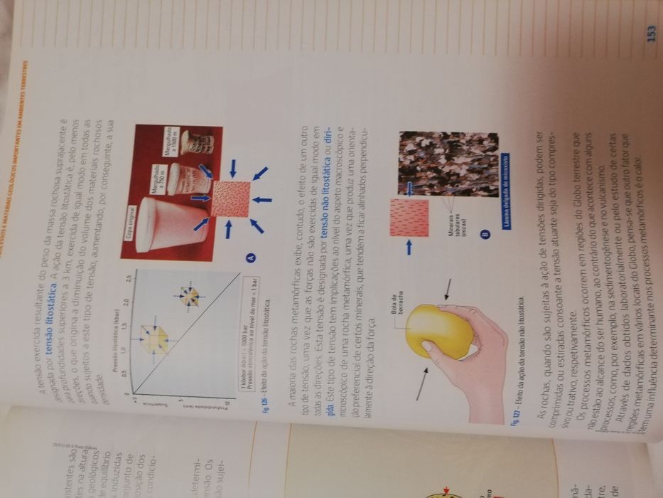Manuais 2partes +Cad. de Atividades de biologia e geologia 11°ano
