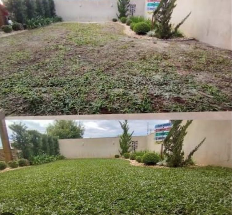Contruçao e manutençao de jardim
