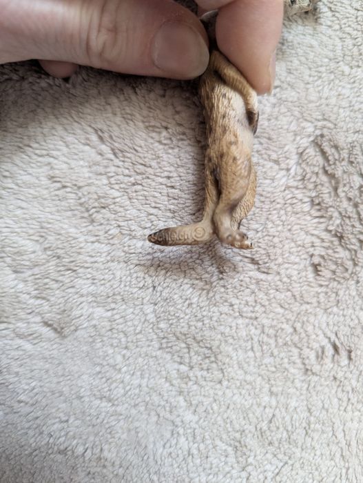 Figurki Schleich/surykatki/surykatka