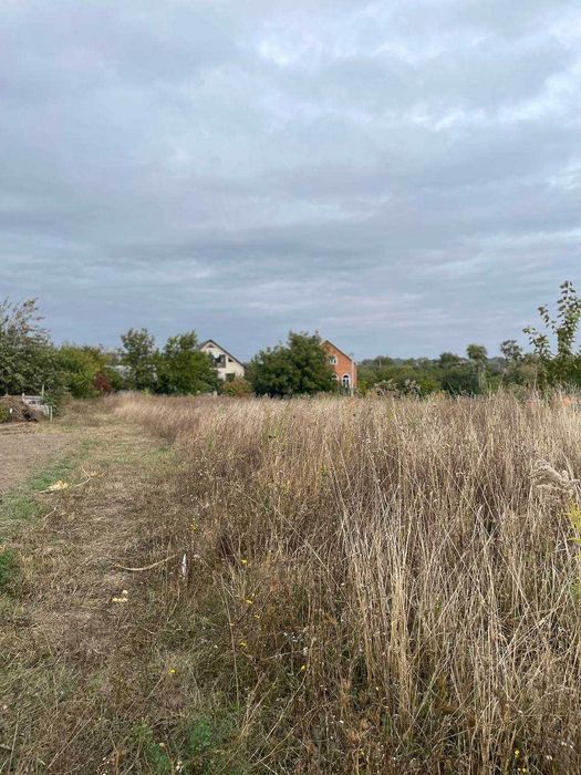 (5)   Продам зем. ділянку в с. Бохоники 9081