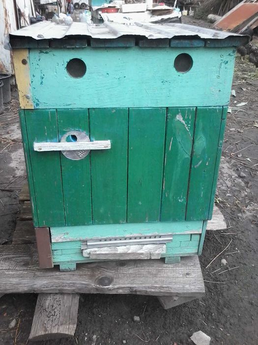 Вулики з магазином і рамками Львів