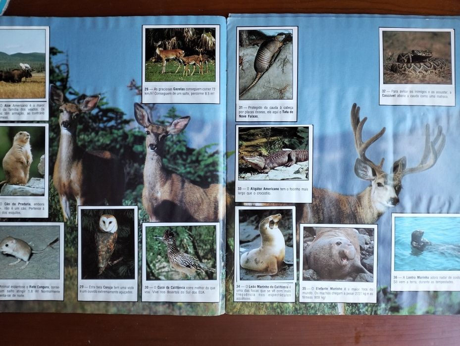 Antiga caderneta Animals World completa