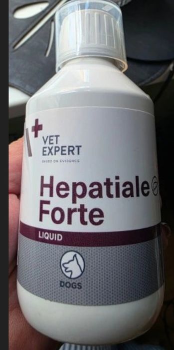 Hepatiale forte liquid